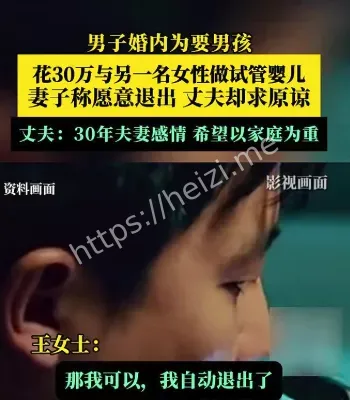 男子婚内为要男孩和他人做试管